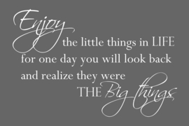 Enjoy the little things op canvas