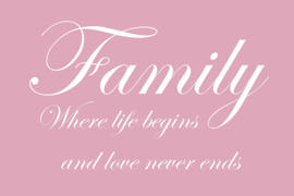 Family where life begins op canvas roze