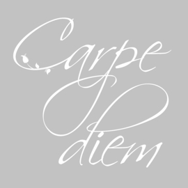 Carpe Diem op canvas