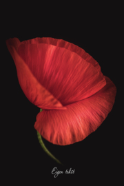 Faith Hope Love - Canvas schilderij