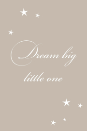 Dream big little one op canvas
