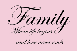 Family where life begins op canvas roze