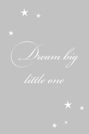 Dream big little one op canvas