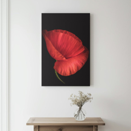 Klaproos op canvas