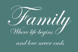 Family where life begins op canvas groen