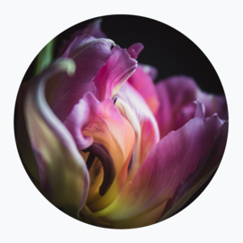 Roze bloemen op muurcirkel