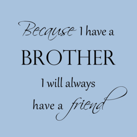 Because I have a brother op canvas
