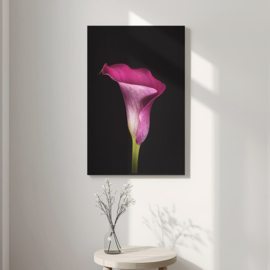 Calla op canvas