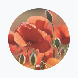 Rode bloemen betekenis