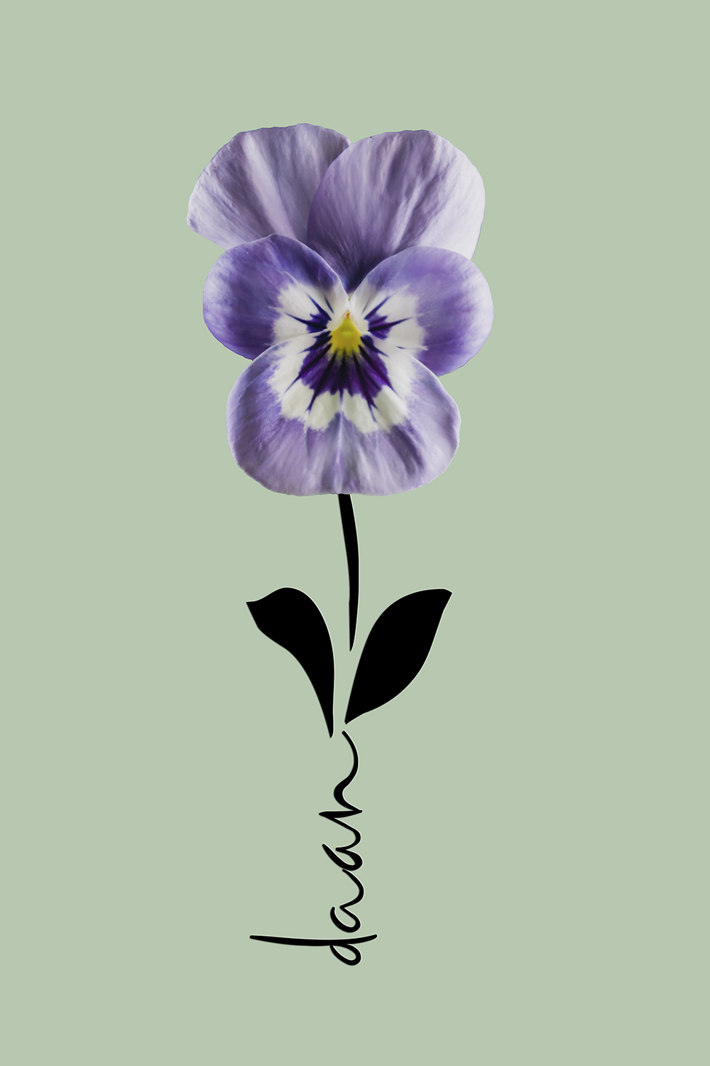 Geboortebloem februari op canvas