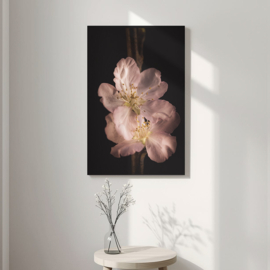 Kersenbloesem op canvas