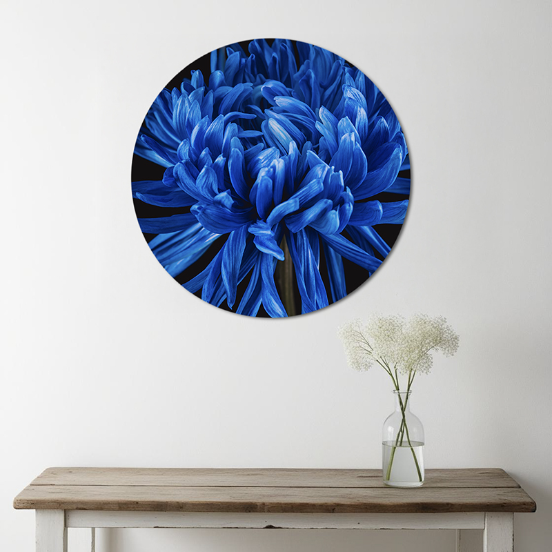 Blauwe bloemen op muurcirkel aan de muur