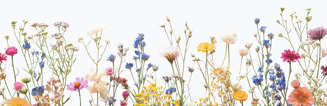 Verschillende bloemen