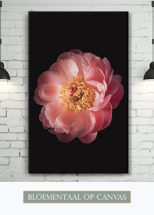 Bloementaal op canvas