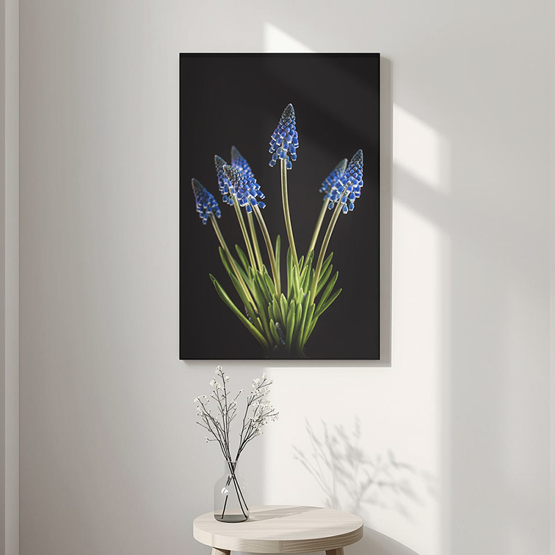 Druifhyacint op canvas aan de muur