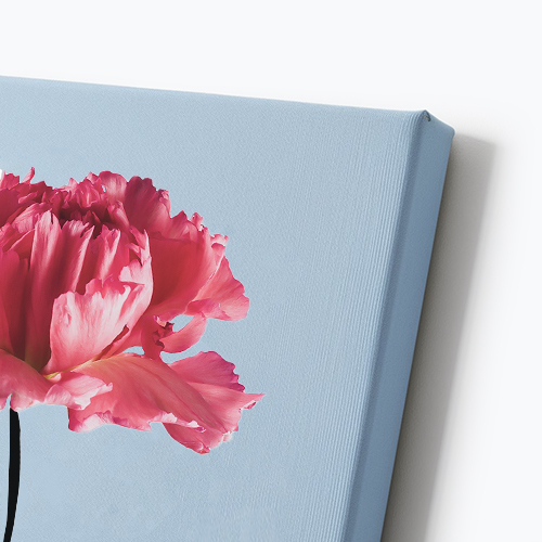 Geboortebloem op canvas met doorlopende opdruk op zijkanten