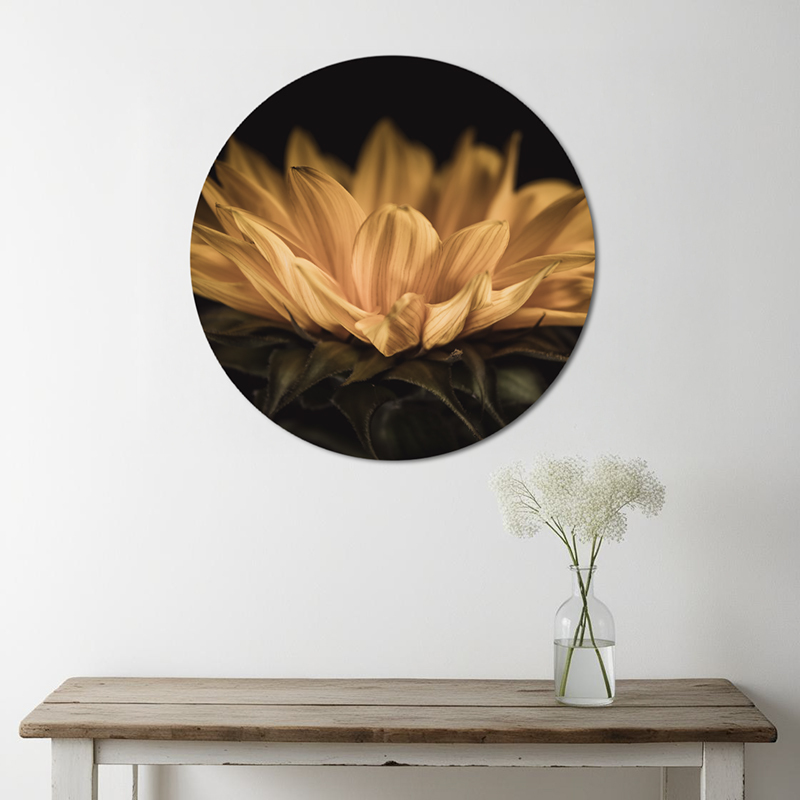 Gele bloemen op muurcirkel aan de muur
