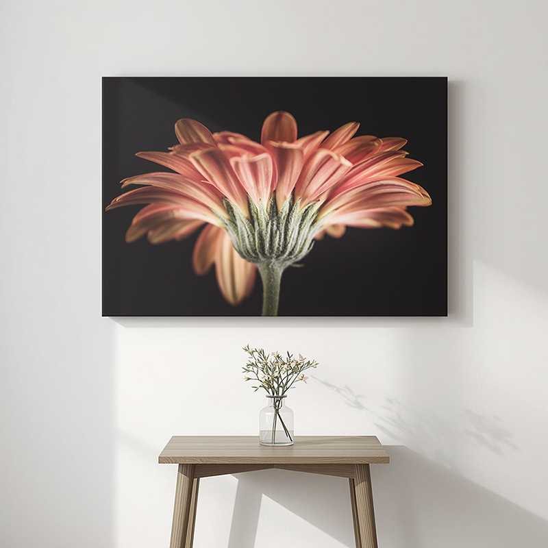 Gerbera op canvas aan de muur