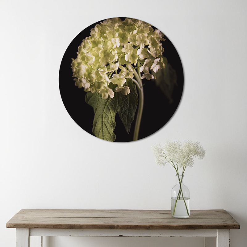 Groene bloemen op muurcirkel aan de muur