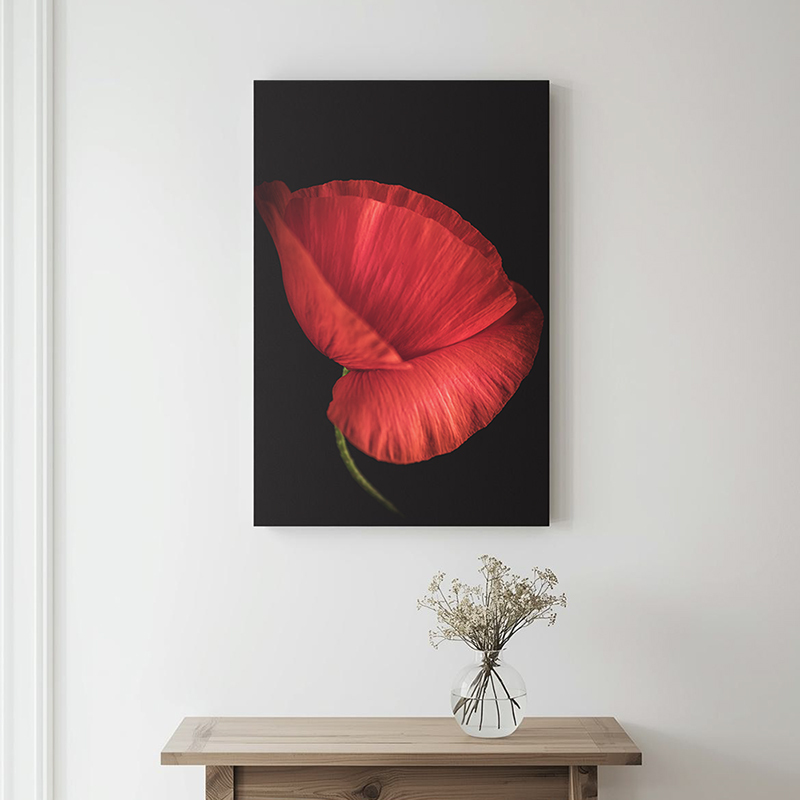 Klaproos op canvas aan de muur