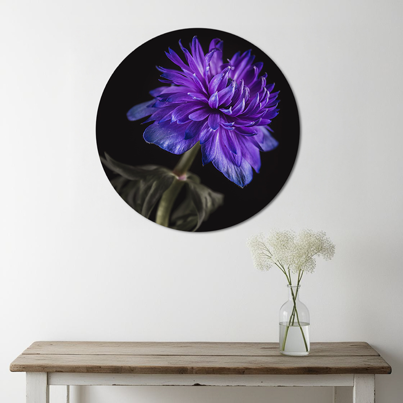 Paarse bloemen op muurcirkel aan de muur