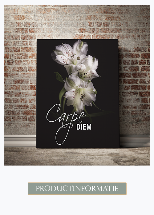 Productinformatie tekst op canvas