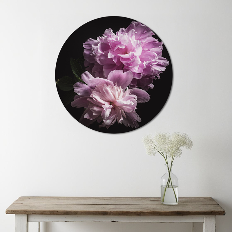 Roze bloemen op muurcirkel aan de muur