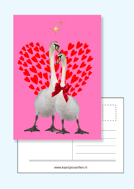 Fiens Mix & Match Kaartenbundel nummer 3 | 11 vrolijke, roze ansichtkaarten om te vesturen én te ontvangen.