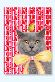 Liefdevolle kat met strik en kanarie. I love you wenskaart in het rood.