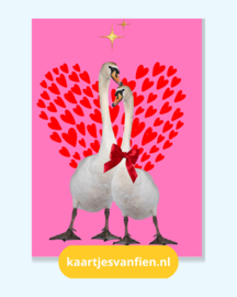 Verliefde zwanen in een romantische roze, rode hartjes ansichtkaart.
