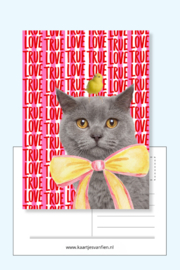 Liefdevolle kat met strik en kanarie. I love you wenskaart in het rood.