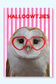 Halloowtjies! Wie zeg jij hallo met deze leuke roze, rode uilen ansichtkaart?