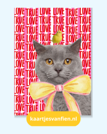 Liefdevolle kat met strik en kanarie. I love you wenskaart in het rood.