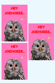 Bundel 7. A6 Roze ansichtkaarten Hey joehoeee! 