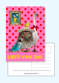 Fiens Mix & Match Kaartenbundel nummer 2 | 11  Unieke Wenskaarten voor Elk Moment