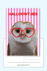 Halloowtjies! Wie zeg jij hallo met deze leuke roze, rode uilen ansichtkaart?