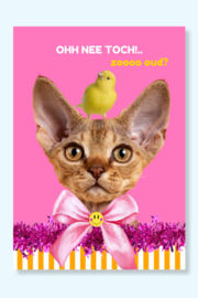 Ohh Nee Toch! Roze A6 ansichtkaart.