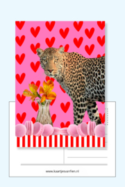 Beterschap! Dit tijger kaartje brengt een glimlach bij de ontvanger!