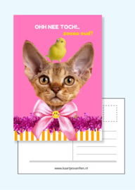 Fiens Mix & Match Kaartenbundel nummer 3 | 11 vrolijke, roze ansichtkaarten om te vesturen én te ontvangen.