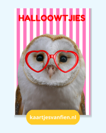 Halloowtjies! Wie zeg jij hallo met deze leuke roze, rode uilen ansichtkaart?