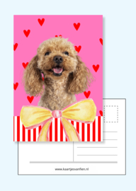 Fiens Mix & Match Kaartenbundel nummer 3 | 11 vrolijke, roze ansichtkaarten om te vesturen én te ontvangen.