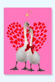 Verliefde zwanen in een romantische roze, rode hartjes ansichtkaart.