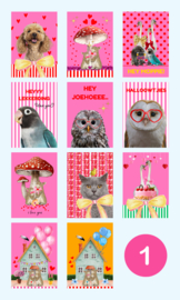 Fiens Mix & Match Kaartenbundel nummer 1 | 11 Lieve en Vrolijke Wenskaarten