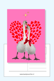 Verliefde zwanen in een romantische roze, rode hartjes ansichtkaart.