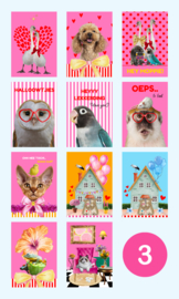 Fiens Mix & Match Kaartenbundel nummer 3 | 11 vrolijke, roze ansichtkaarten om te vesturen én te ontvangen.