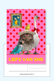 Liefs van ons! De perfecte roze dieren wenskaart met rode stippen.