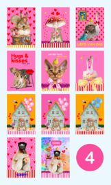 Fiens Mix & Match Kaartenbundel nummer 4 | 11 leuke, roze ansichtkaarten om je naasten mee te verassen.