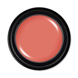 Soft Orange
