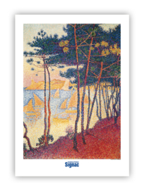 Poster Voiles et pins - Signac
