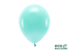 Eco ballonnen donker mint (6 st)